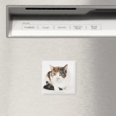 Portret van de Calico-kat Magneet (Insitu (Vaatwasser))