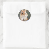 portret van de chipmunk met volle wangen ronde sticker (Tas)