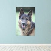 Portret van de Duitse Sheppard Canvas Afdruk (Insitu (Houten vloer))
