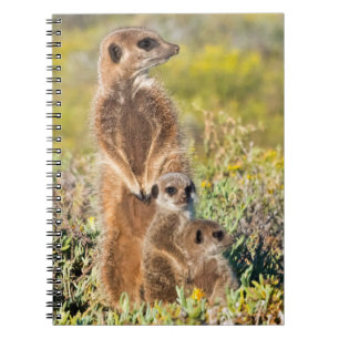 Portret van de familie Meerkat Notitieboek