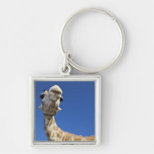 Portret van de Giraffe (Giraffa Camelopardalis) Sleutelhanger