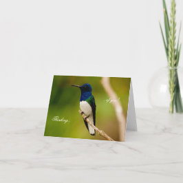 Portret van de Kaart van de Nota van de Overzichte