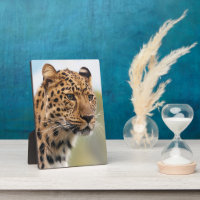 Portret van de kant van het gepotte leopard