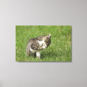 Portret van de kat canvas afdruk