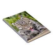 Portret van de kat notitieboek (Rechterzijde)