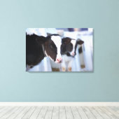 Portret van de koe canvas afdruk (Insitu (Houten vloer))