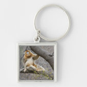 Portret van de mannetjesaap Golden in boom Sleutelhanger (Voorkant)