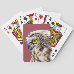 Portret van de Noordelijke Saw-Whet Owl Speelkaarten
