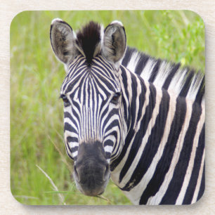Portret van de steppezebra, Hluhluwe-Umfolozi Game Drankjes Onderzetter