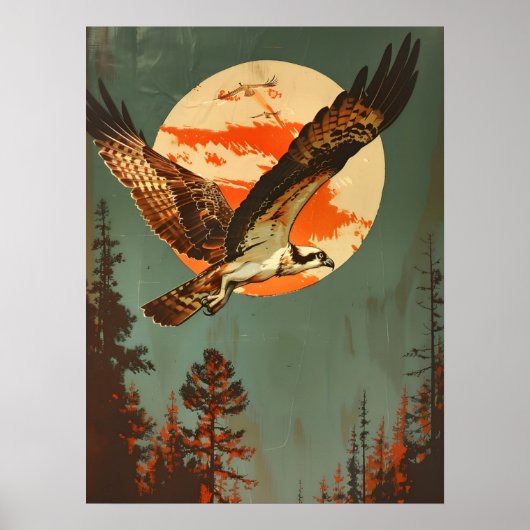 portret van de visarend poster (Voorkant)