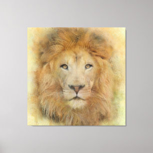 Portret van de Waterverf van het Afrikaanse Lion W Canvas Afdruk