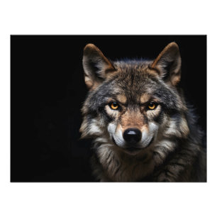 Portret van de wolf foto afdruk
