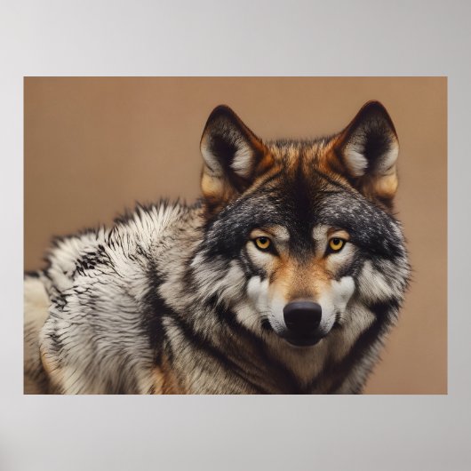 Portret van de wolf poster (Voorkant)