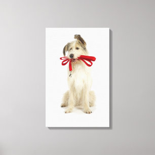 Portret van Dog met Leash Canvas Afdruk