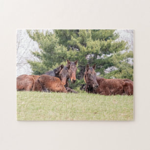Portret van drie paarden legpuzzel