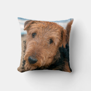Portret van een Airedale Terrier Kussen