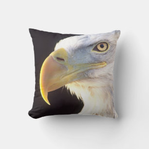 Portret van een Amerikaanse zeearend, Haliaeetus l Kussen