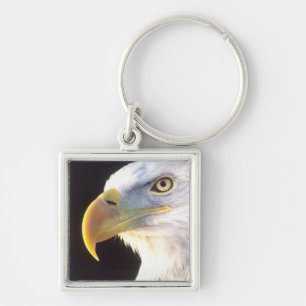Portret van een Amerikaanse zeearend, Haliaeetus l Sleutelhanger