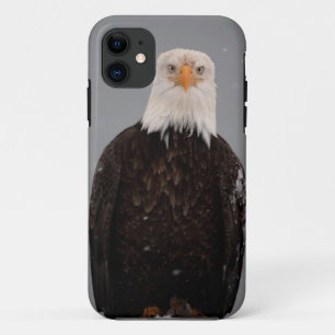 Portret van een Amerikaanse Zeearend in de Sneeuw, iPhone 11 Hoesje