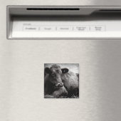 Portret van een Angus Magneet (Insitu (Vaatwasser))