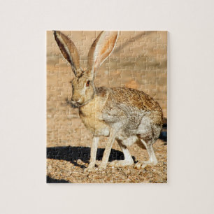 Portret van een antilope jackkonijn, Arizona Legpuzzel