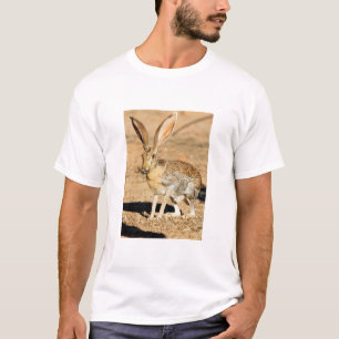 Portret van een antilope jackrabbit, Arizona T-shirt