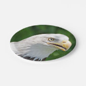 Portret van een Bald Eagle Papieren Bordje (Gekanteld)