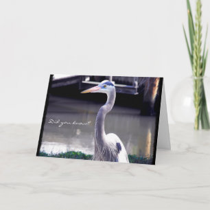 Portret van een Blauwe Heron Kaart