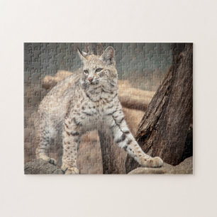 Portret van een Bobcat Legpuzzel
