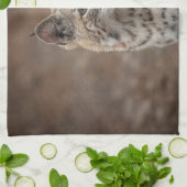 Portret van een Bobcat Theedoek (Gevouwen)