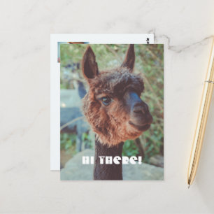 Portret van een bruine alpaca briefkaart