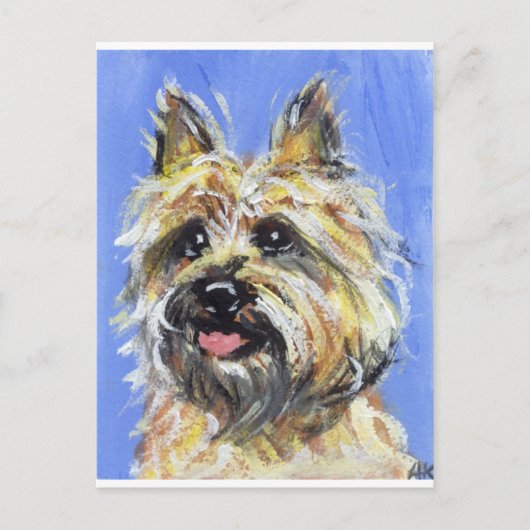 Portret van een Caïro Briefkaart (Voorkant)