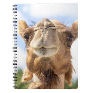 Portret van een Camel Notitieboek