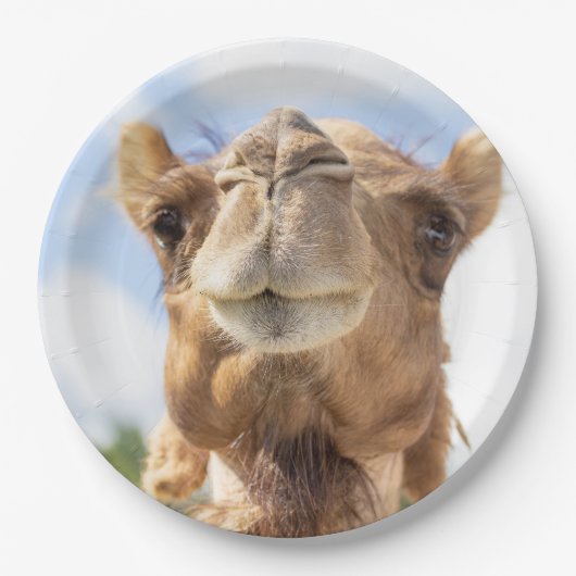 Portret van een Camel Papieren Bordje (Voorkant)