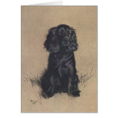  portret van een Cocker Spaniel, (Voorkant)