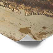 portret van een coyote poster (Hoek)