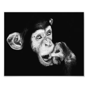Portret van een denker Chimpansee Foto Afdruk