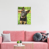 Portret van een Duitse herder Canvas Afdruk (Insitu (Woonkamer))