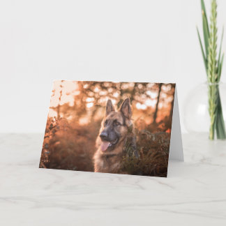 portret van een Duitse herder Feestdagen Kaart
