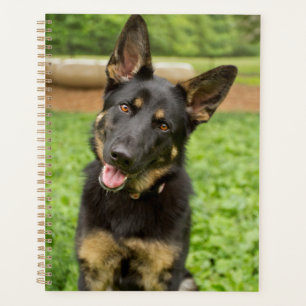 Portret van een Duitse herder Planner