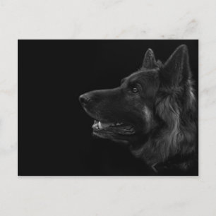 Portret van een duitse herderhond briefkaart