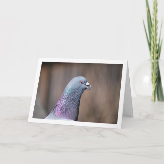 Portret van een Duivenkop Kaart (Voorkant)