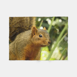 Portret van een eekhoorn Natuur Dierenfotografie Fleece Deken