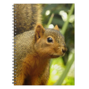 Portret van een eekhoorn Natuur Dierenfotografie Notitieboek