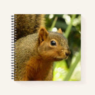 Portret van een eekhoorn Natuur Dierenfotografie Notitieboek