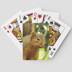 Portret van een eekhoorn Natuur Dierenfotografie Pokerkaarten
