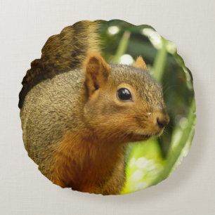Portret van een eekhoorn Natuur Dierenfotografie Rond Kussen
