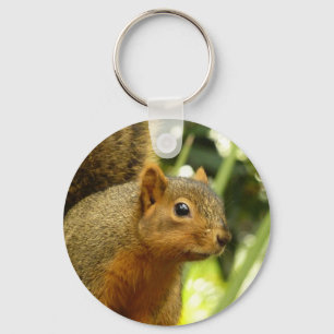 Portret van een eekhoorn Natuur Dierenfotografie Sleutelhanger