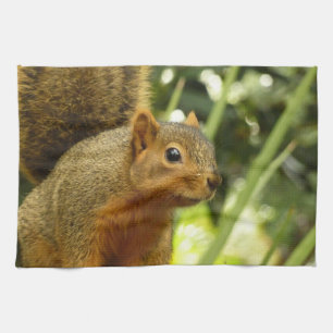 Portret van een eekhoorn Natuur Dierfotografie Theedoek