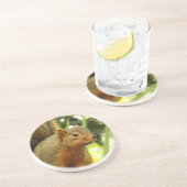 Portret van een eekhoorn Natuur Dierfotografie Zandsteen Onderzetter (Zijkant)